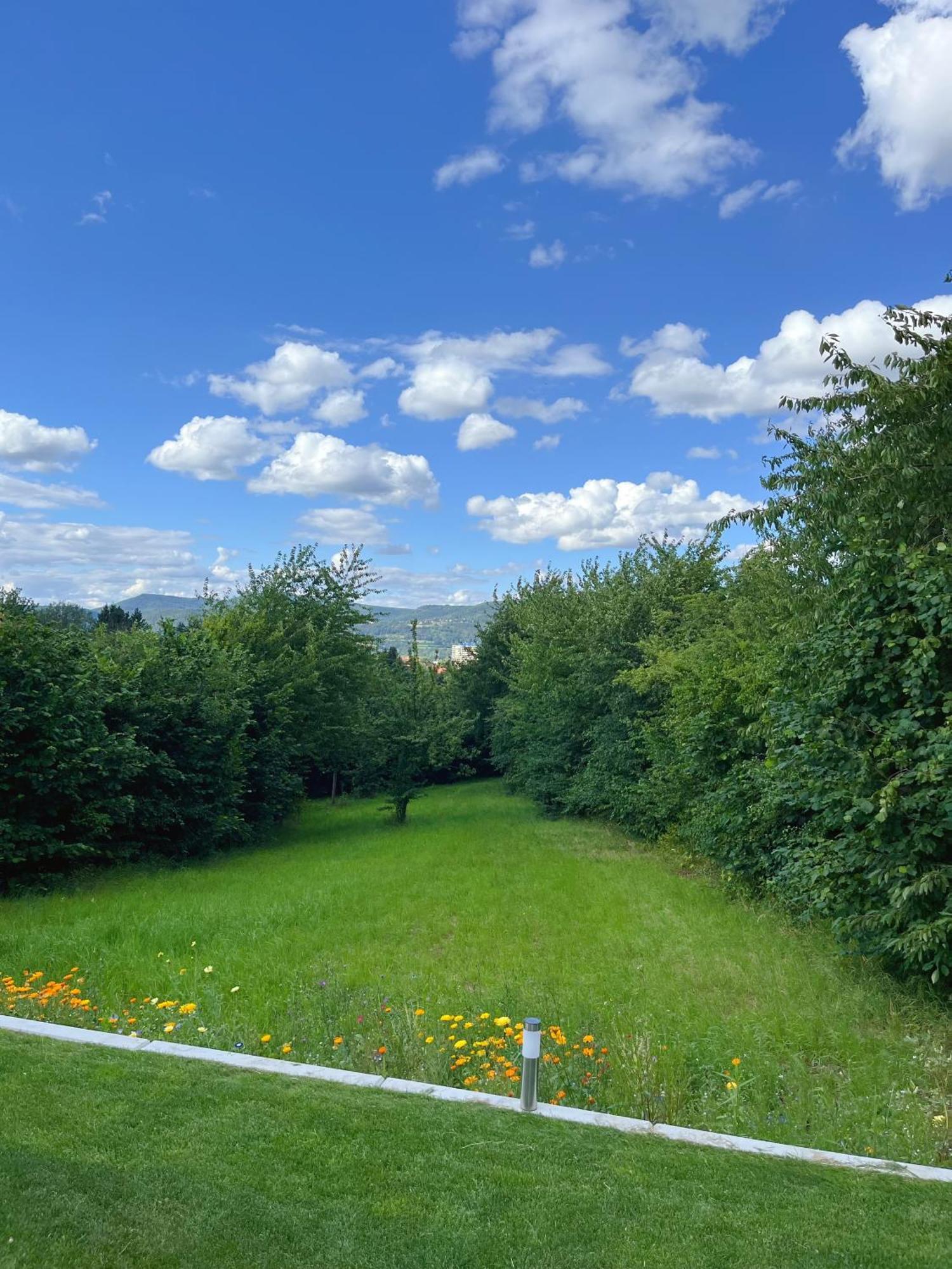 Neu Sanierte Wohnung Fuer 2-4 P Eschwege Dış mekan fotoğraf